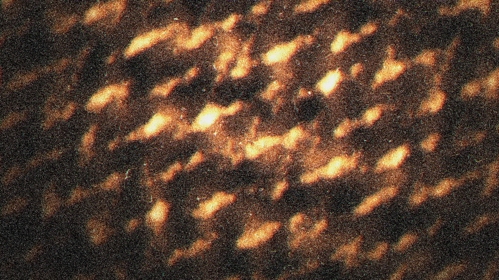 Molecule of Light