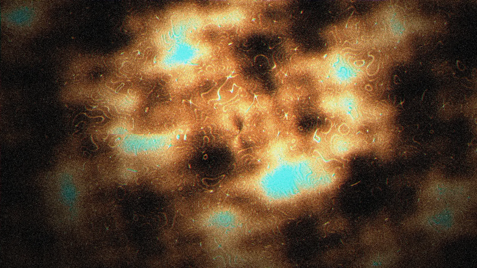 Meiro Koizumi: The Fire, an Archive at Art Sonje Center, Space 2, Seoul