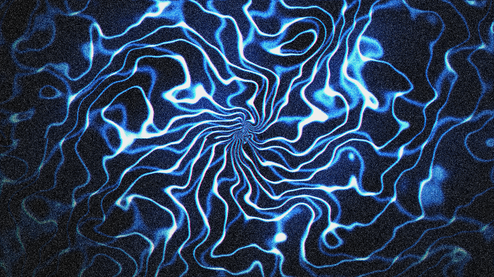 DARK MATTER: FOREST SEASONS