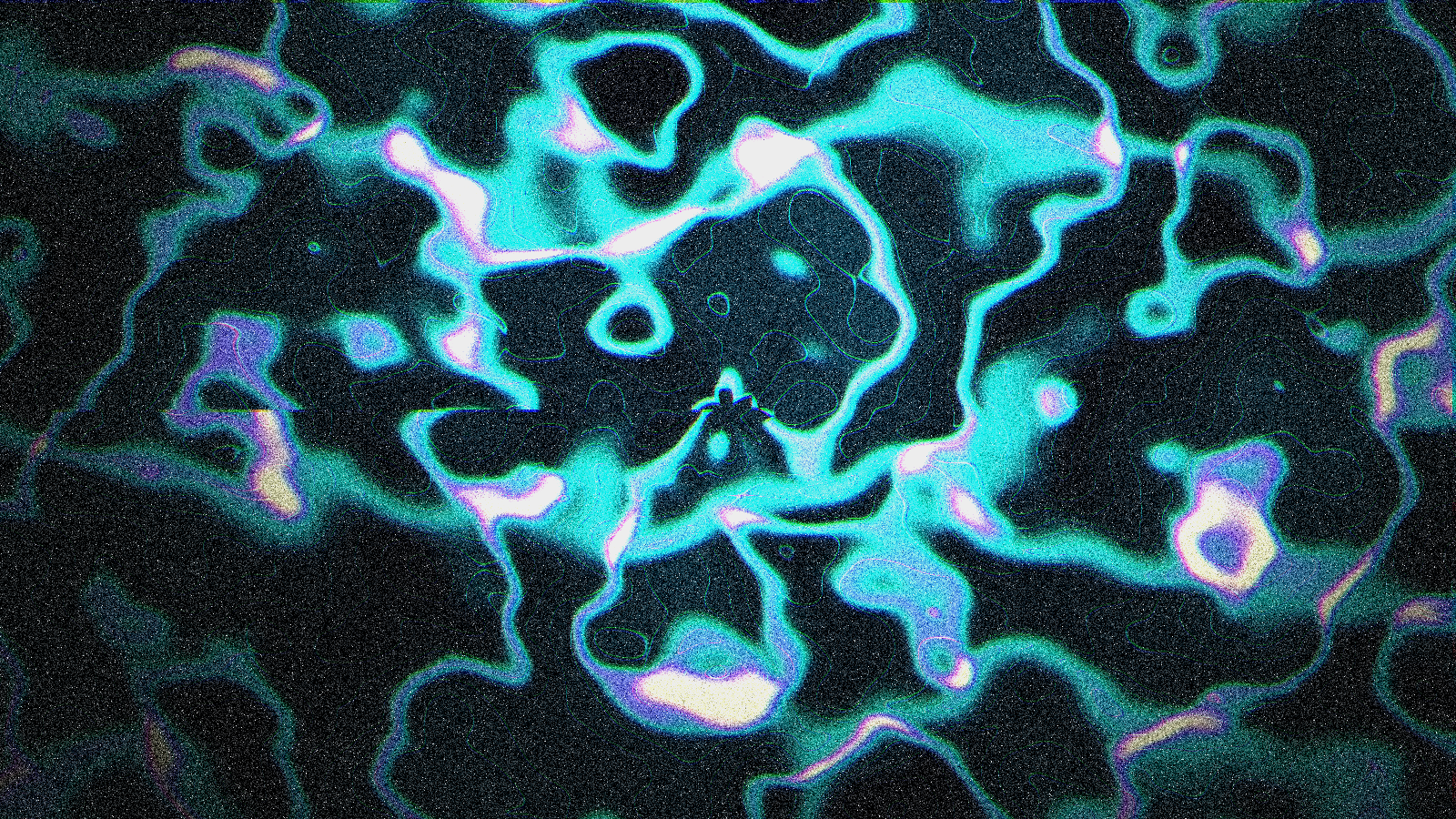 Avant Art Festival Berlin: Rożynek, Korzeniecka, Janicki, Papior + Antonina Nowacka + Drew McDowall & Pedro Maia A/V